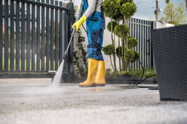 Best Driveway Pressure Washing  in Central City, NE